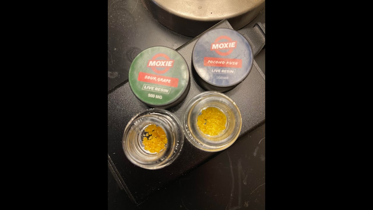 Merry Christmas Smoke Sesh - Moxie -  Pocono Kush & Sour Grape - Pines Trees Canabis Reviews
