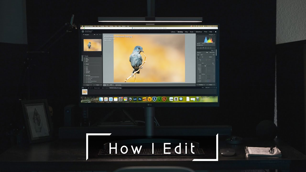 My Wildlife Photography Post Processing Workflow