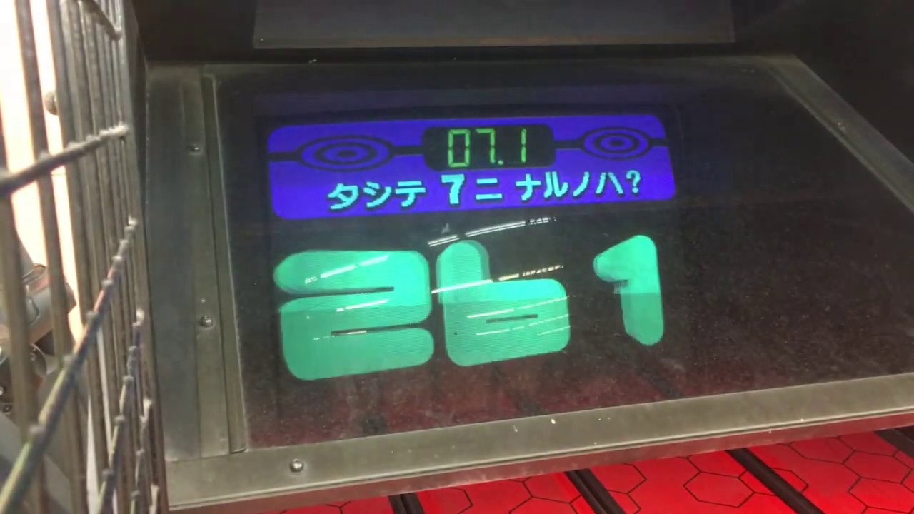 Gynotai