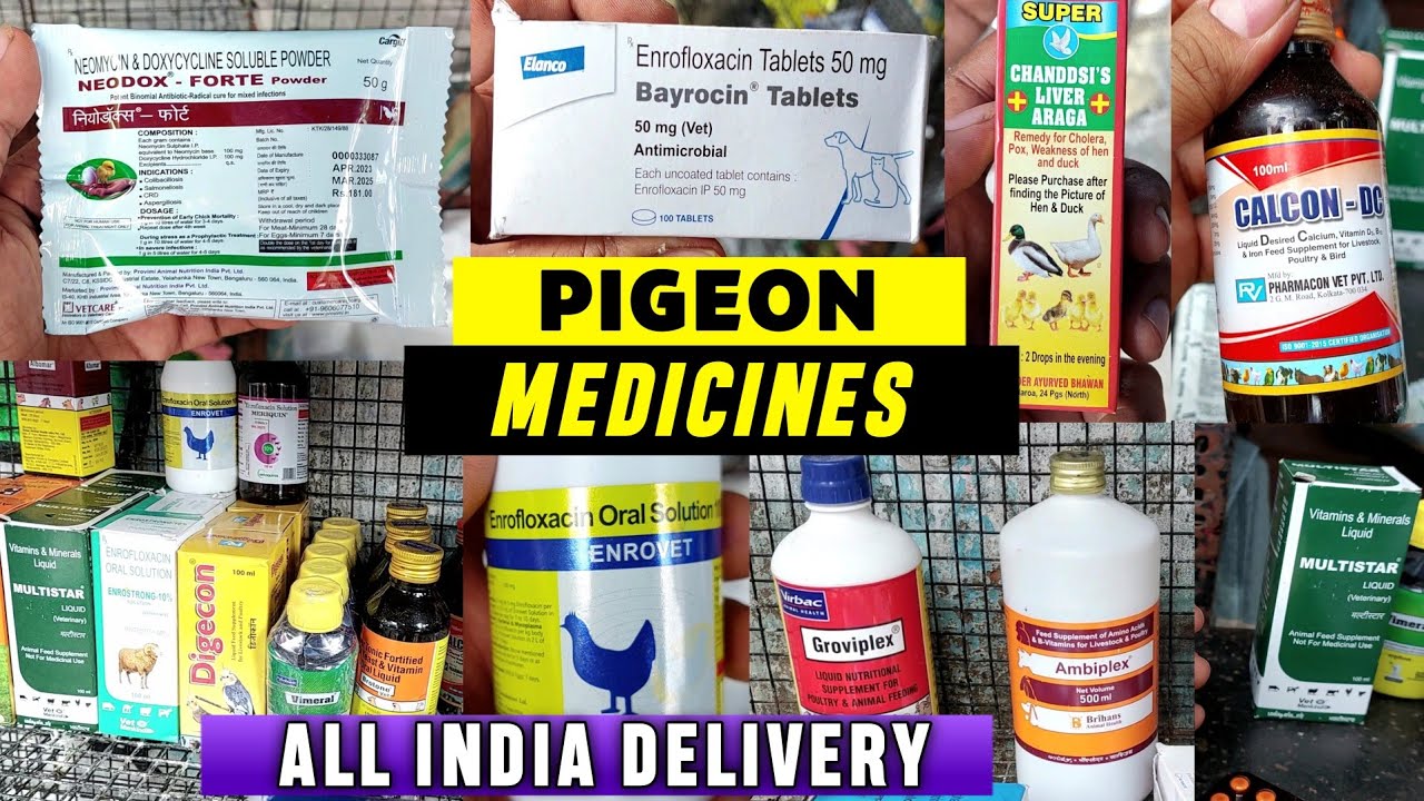 Pigeon (Poultry) Medicines All INDIA Delivery 🕊 | Kabootaro Ki Dawai Online Delivery