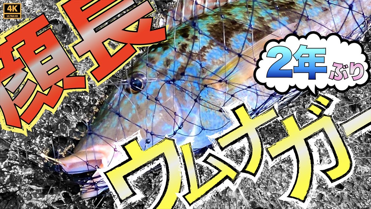 【沖縄釣り】南国離島屈指の荒磯！久しぶりのフカセ釣りでちむどんどん。
