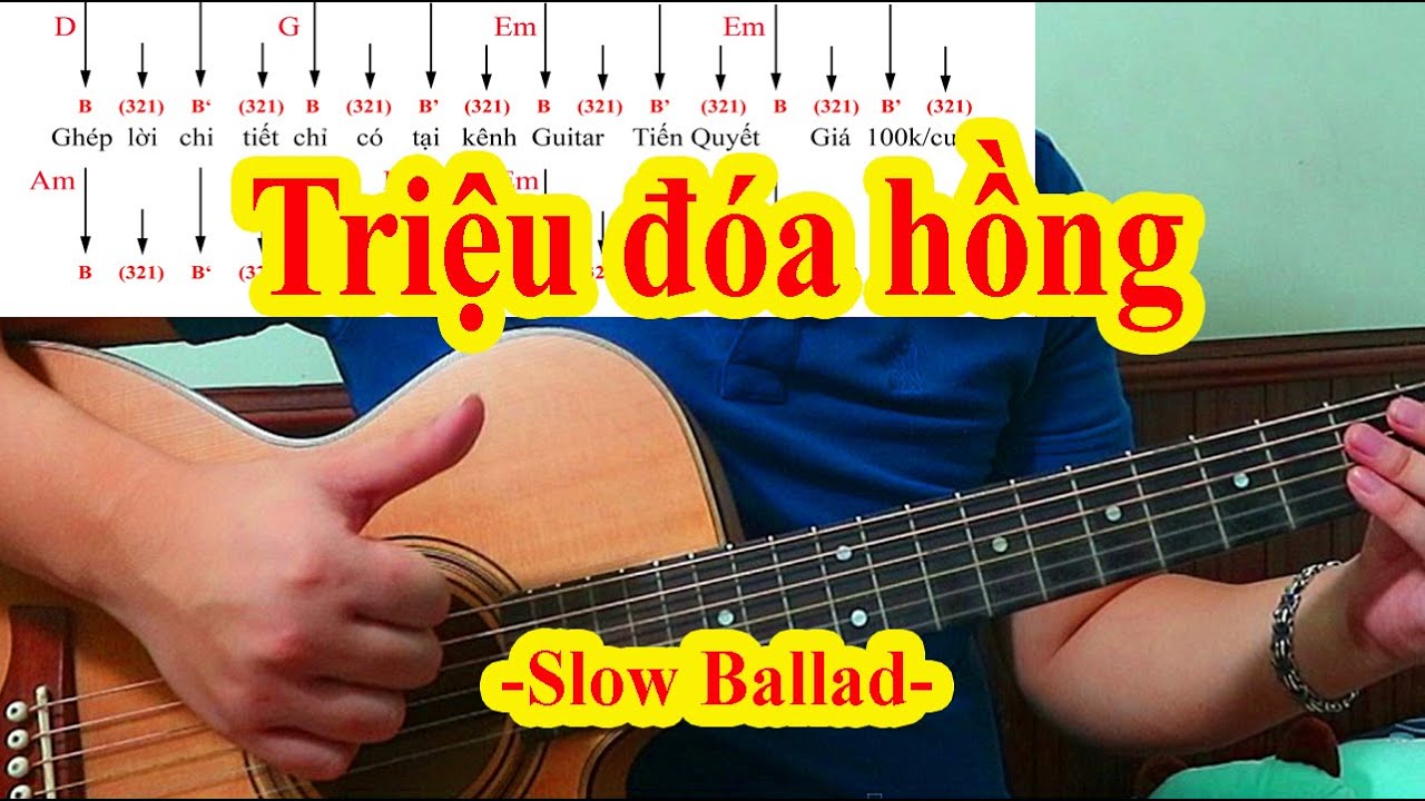 Hướng Dẫn Guitar - TRIỆU ĐÓA HỒNG - Điệu Slow Ballad