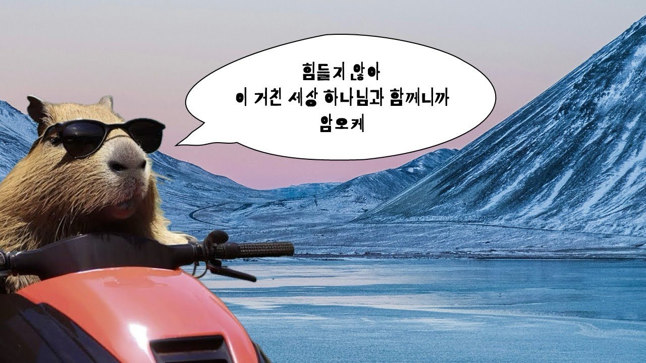[CCM Playlist] 힘나는 찬양 플레이리스트 🎧 둠칫둠칫 하나님과 함께 신나는 하루✨