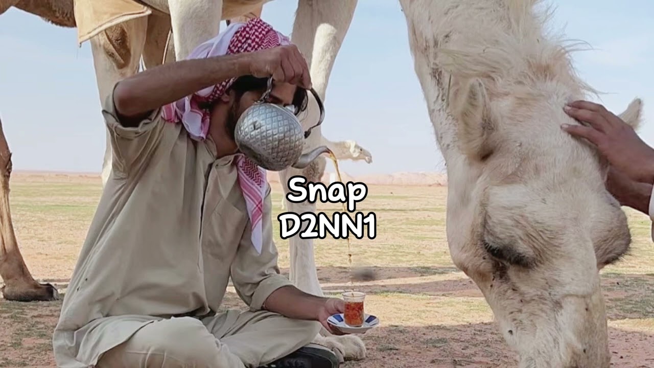 حب البداوه : عبد الرحمن ال نجم مسرع