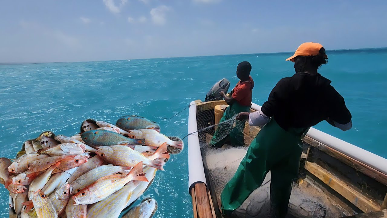 HOW I COUGHT 100lbs OF FISH IN 25 MINUTES // CATCH,CLEAN&COOK