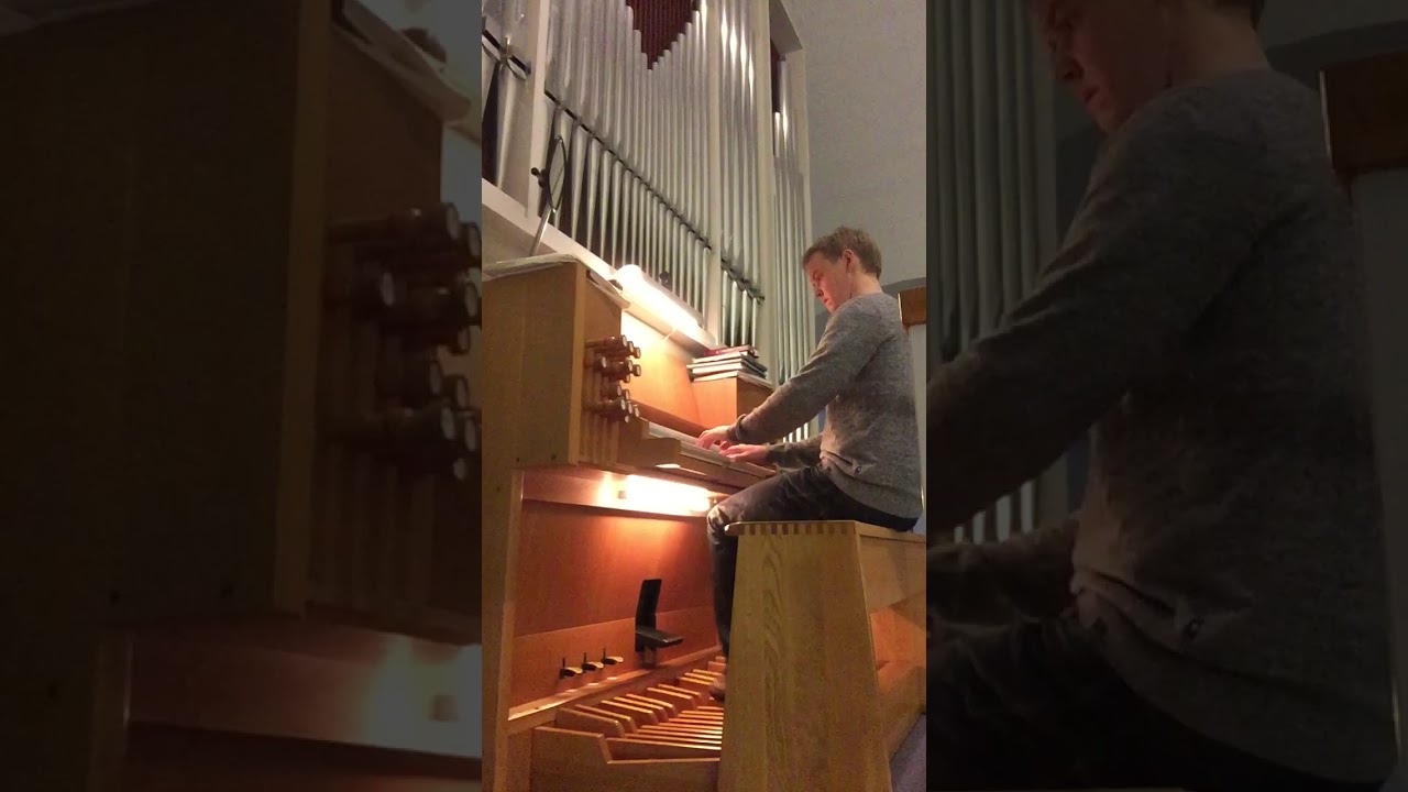 J. S. Bach Organ concerto in A minor - Improvisation by Vesa Kajava