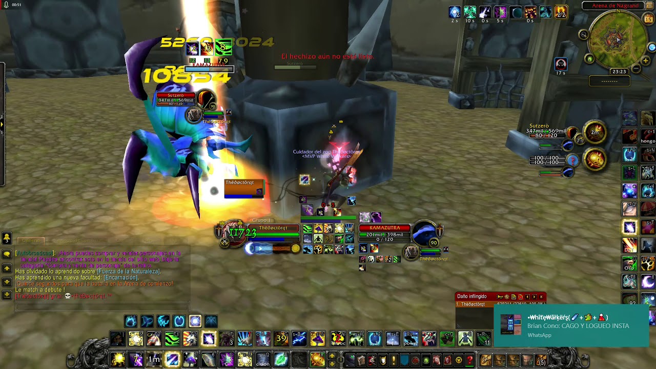 1v1 Pollo VS Hunter Bestias - 5.4.8 World of Warcraft