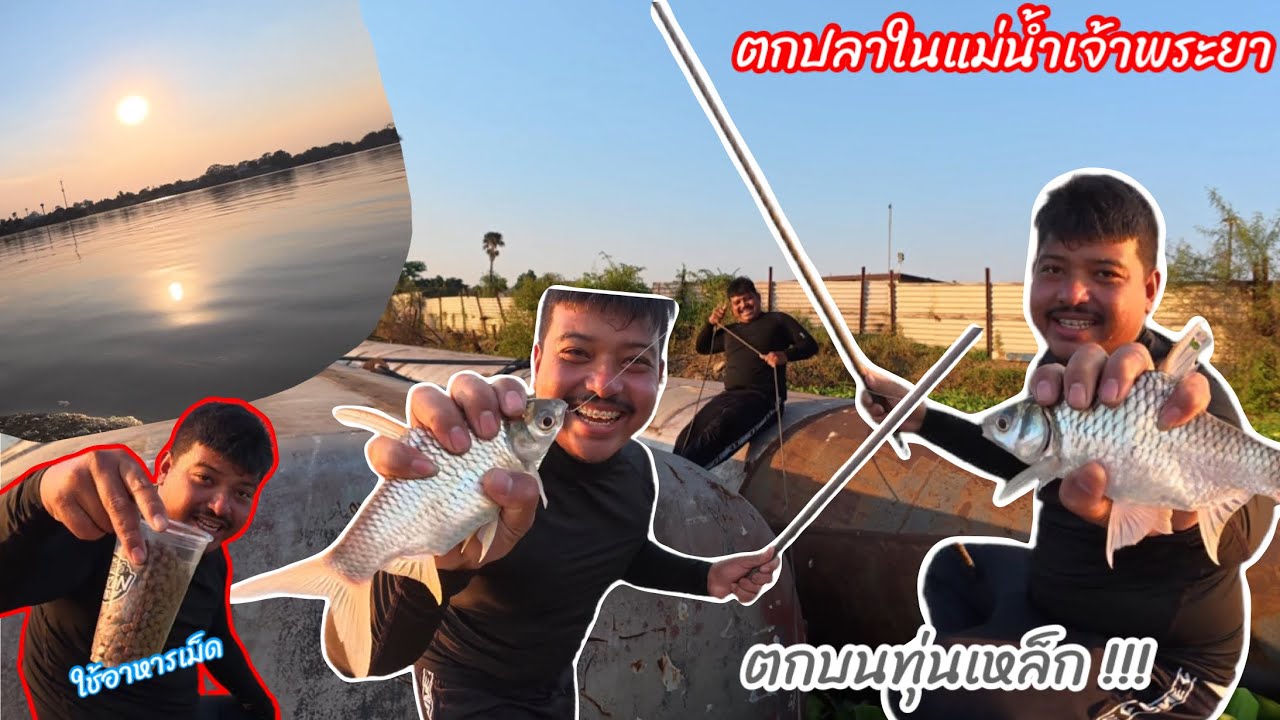 ไปหาปลาในแม่น้ำเจ้าพระ แต่ขึ้นไป￼ทุ่นเหล็ก จะหมานไหม ? #มิสเตอร์สันฟิชชิ่ง 