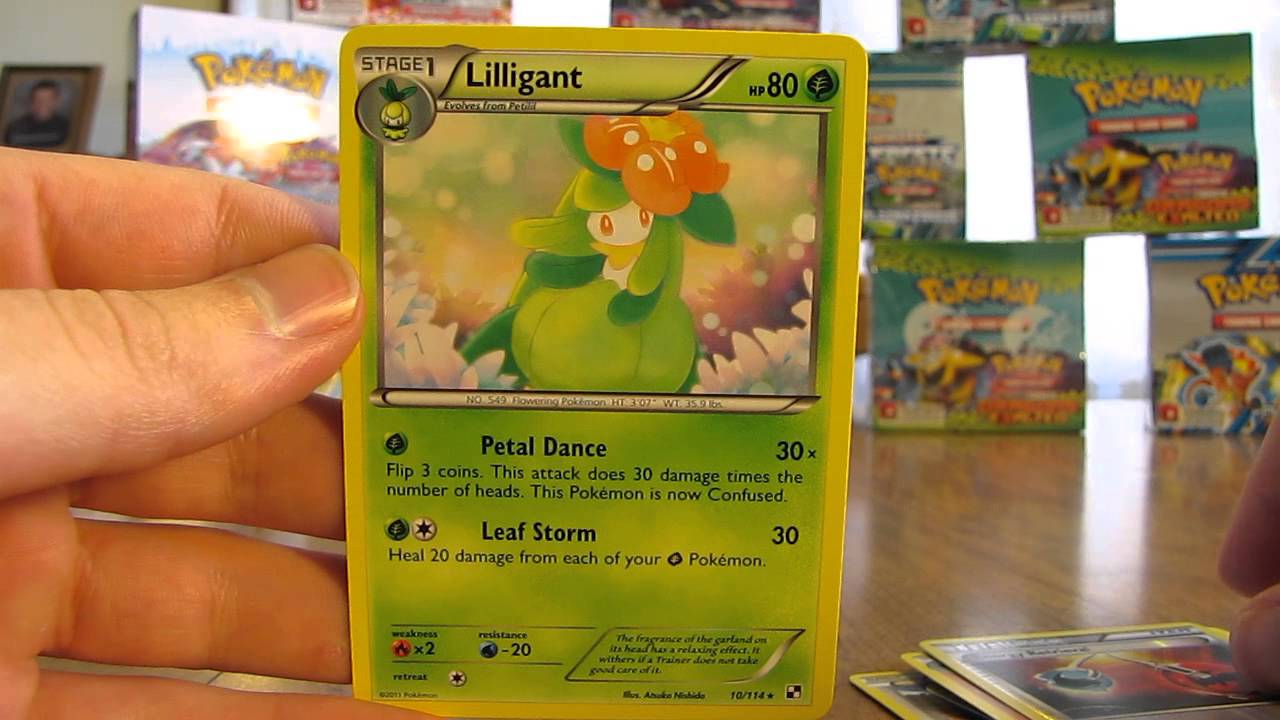 Pokemon Booster Box Opening:  Black and White Pt. 1 (540 Packs)