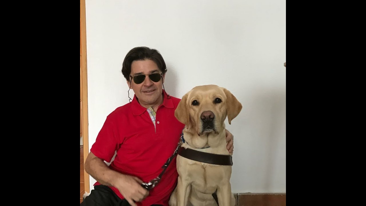 Homenaje a Balú. Mi perro guía IA