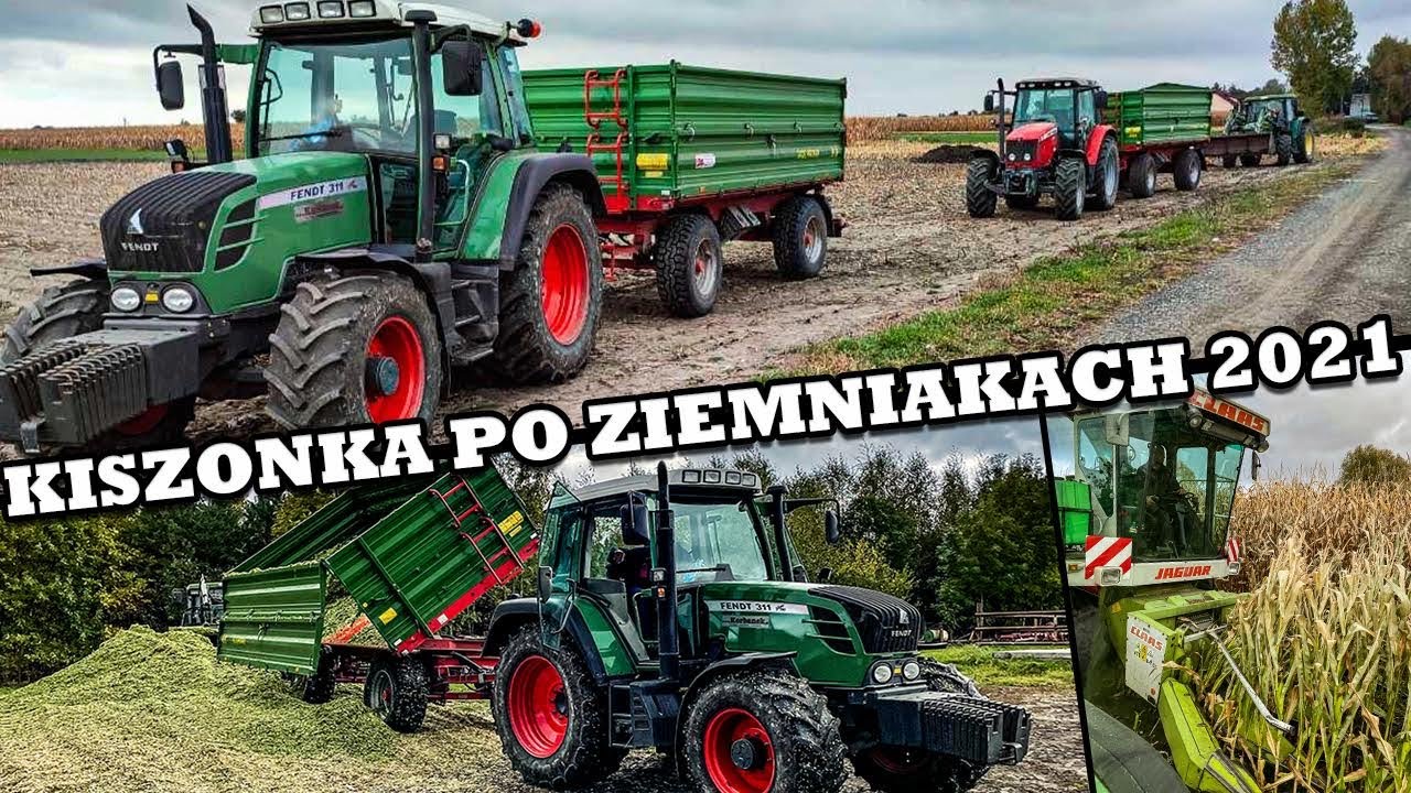 VLOG #52| Kiszonka z Kukurydzy po Ziemniakach ☆ Drugi Plon w Jednym Roku ☆ Claas Jaguar 685 w Akcji