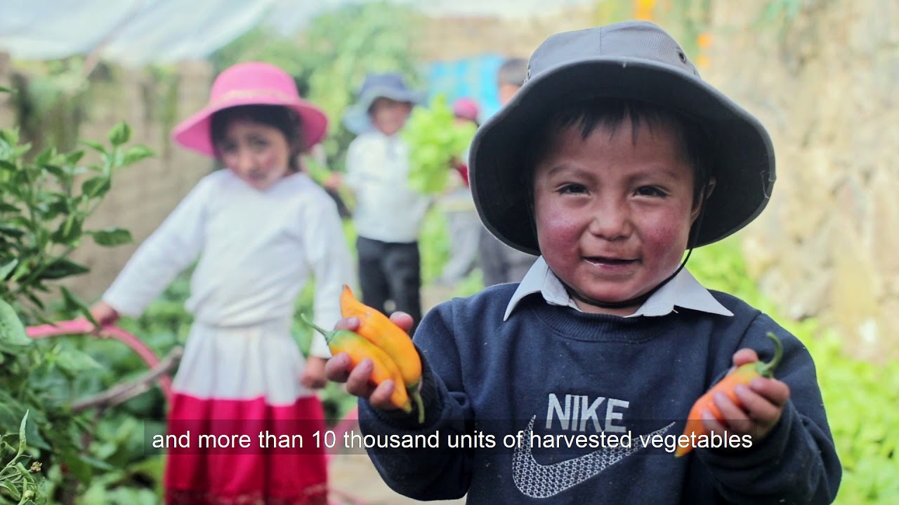 Pan Peru: Video Institucional 2019 (English Subtitles)