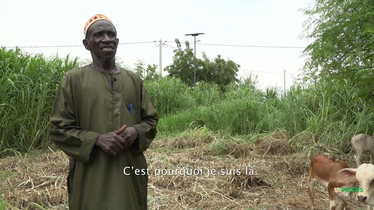 Formation des bénéficiaires du PDEPS sur les techniques de production fourragère
