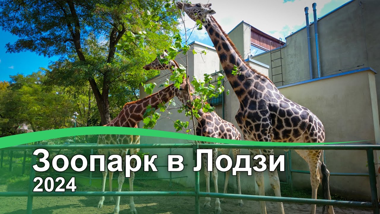 Зоопарк Лодзь (океанариум), 2024