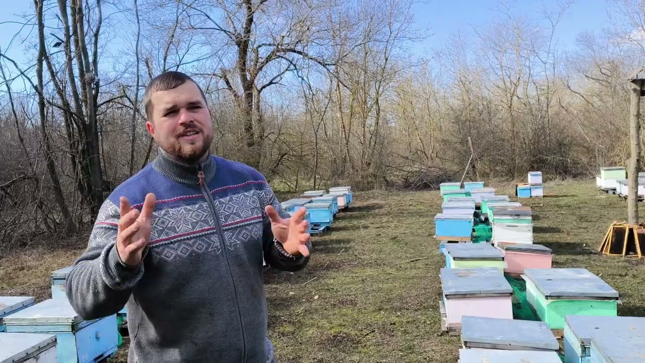 Цена на пчелосемьи 2026 