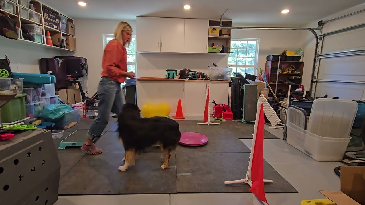 Year of Fitness - Week 8 - Porter - Wrap Jump
