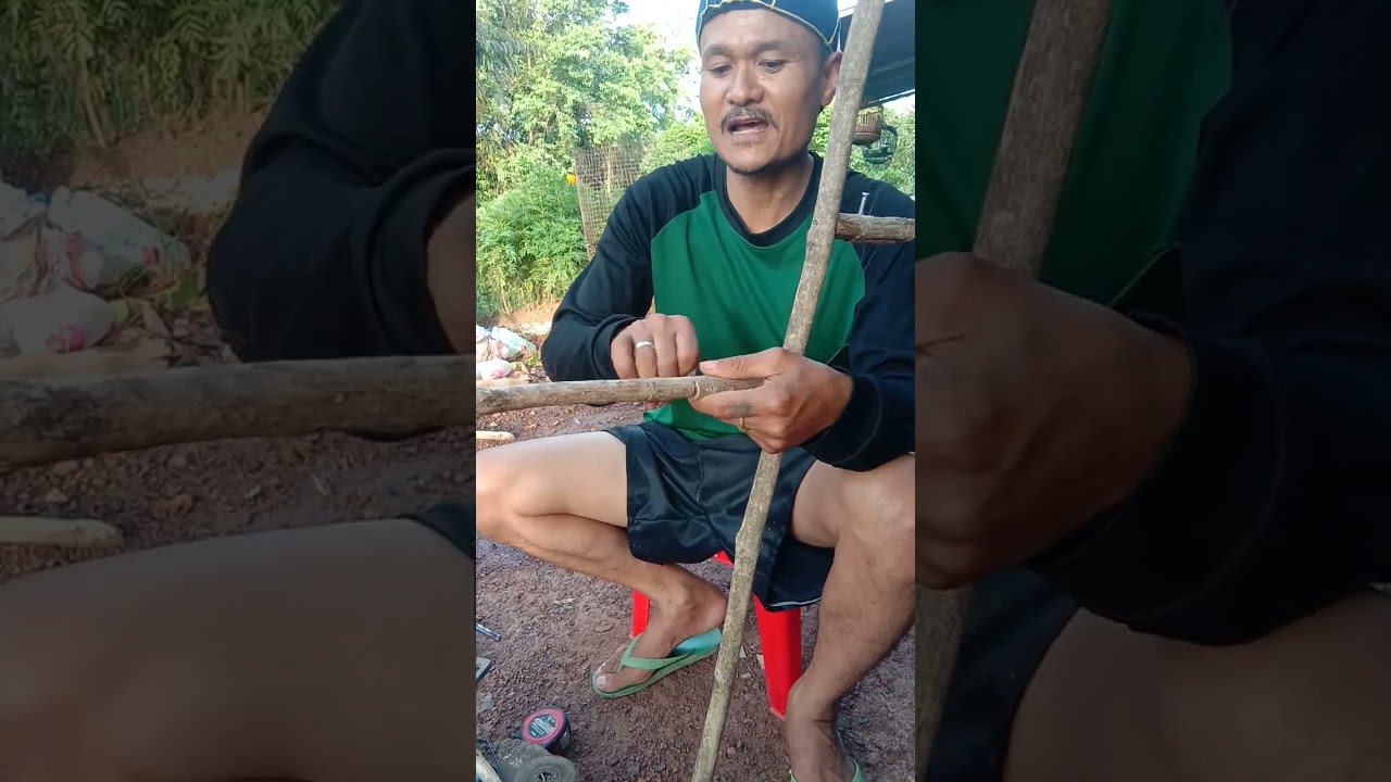 เพนียดกิ่งระบบยักขา