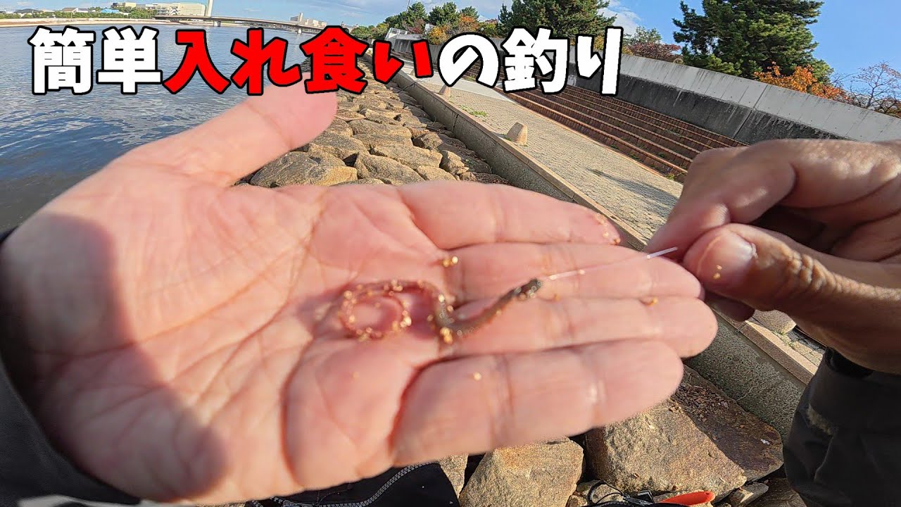 入れ食い！今南芦屋浜で釣りたいならこの餌で簡単に釣れますよ。