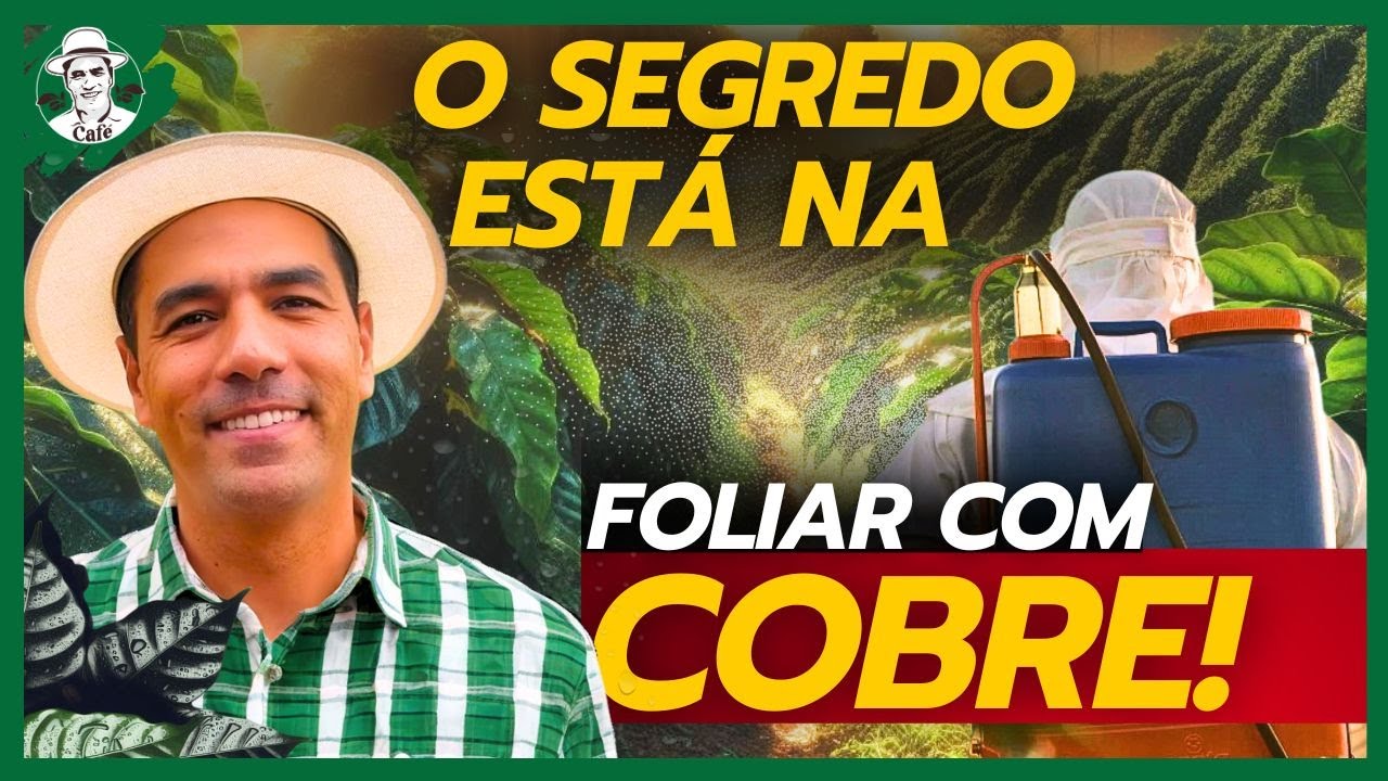 O segredo está na foliar com cobre