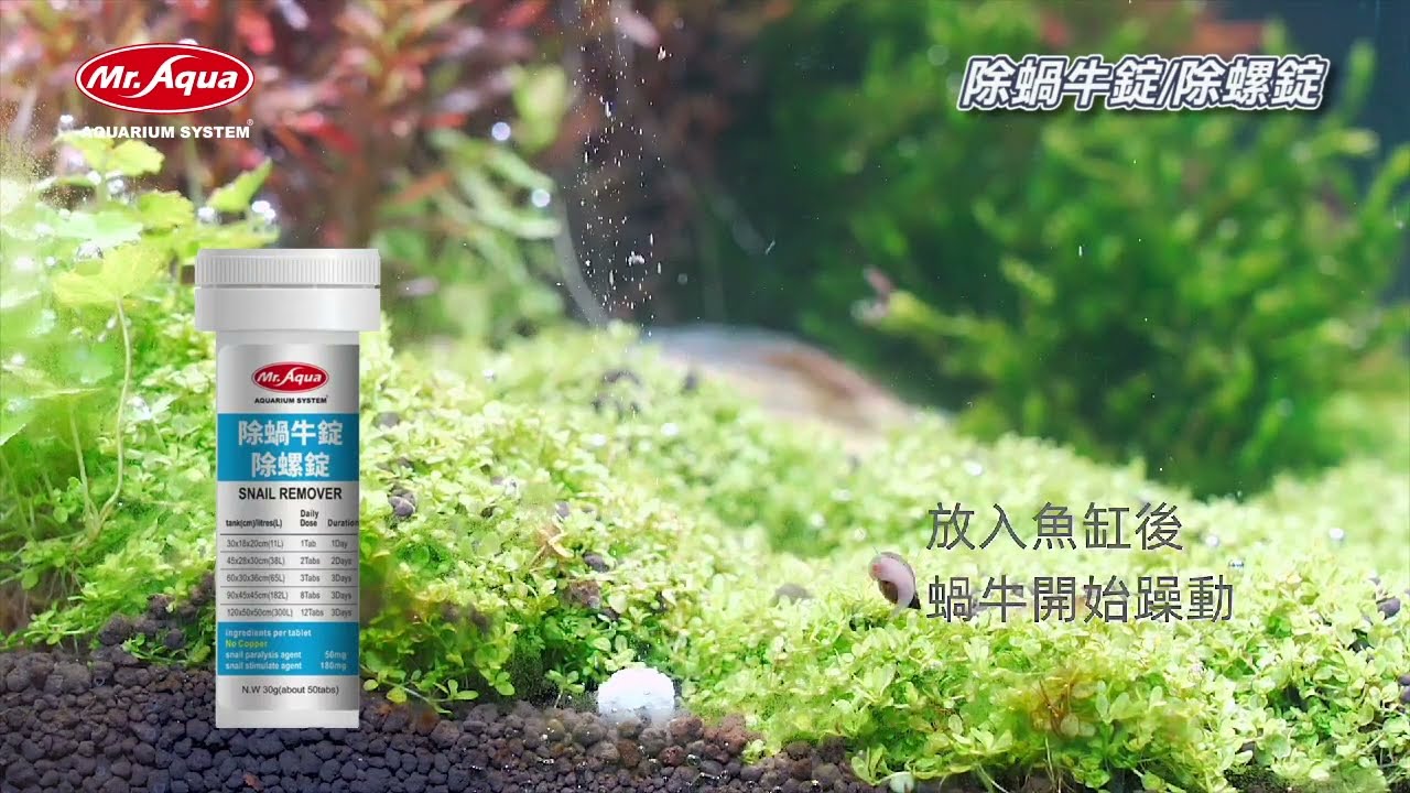 【水族界小丸子】MR.AQUA 除蝸牛錠/除螺錠 #shorts