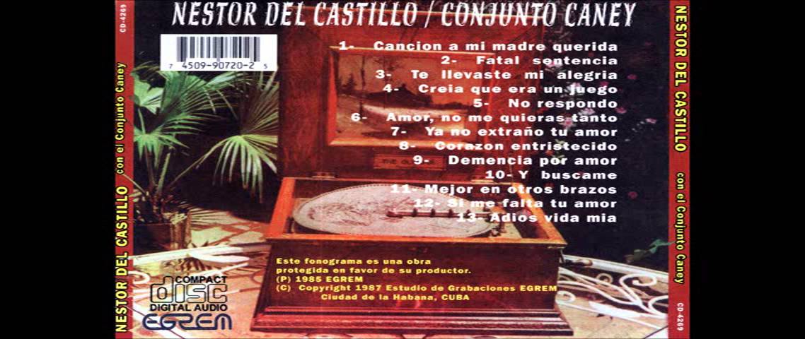 NESTOR DEL CASTILLO- CORAZON ENTRISTECIDO