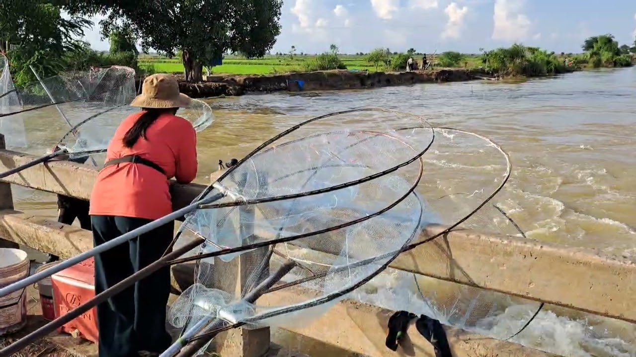 នឹកណាស់!🇰🇭 រកត្រីតាមសំណង់
