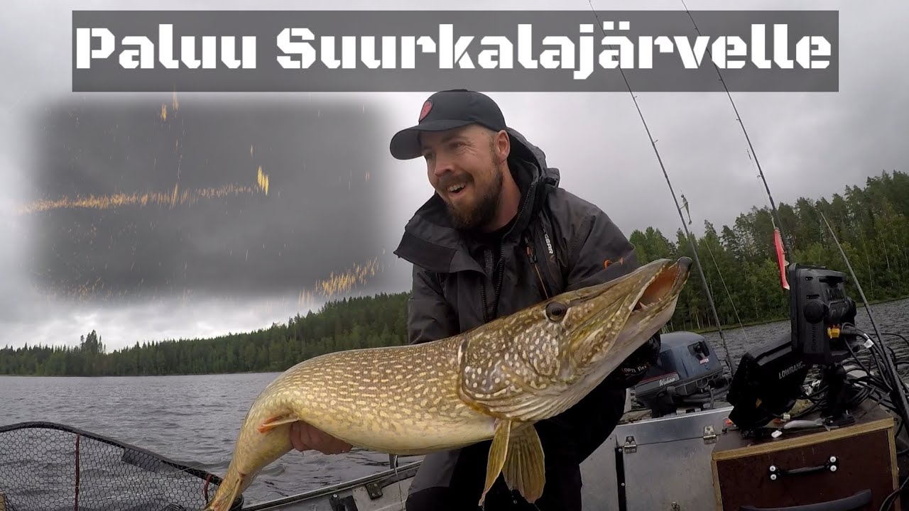 Paluu Suurkalajärvelle | Jättihaukia ja Kuhia Täsmäkalastuksella