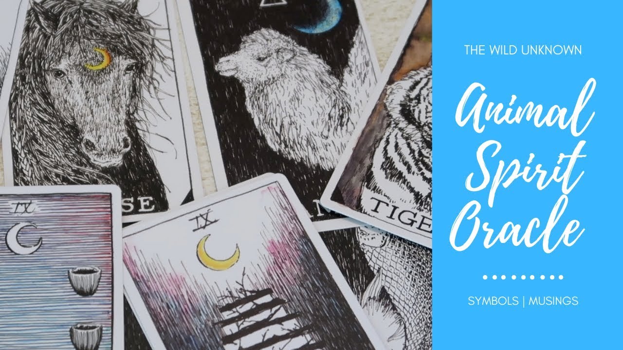 The Wild Unknown Animal Spirit Oracle - Symbols & Musings