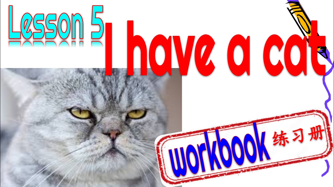 🐱WORKBOOK |Kuaile hanyu 1 Lesson 5 I have a cat 快乐汉语 练习册第一册 第五课 我有一只猫