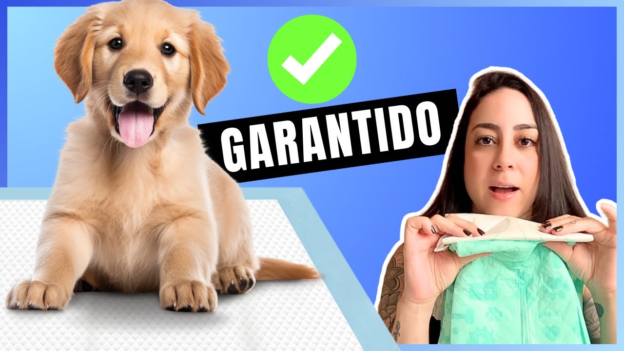 O SEGREDO PRO SEU CACHORRO ACERTAR O XIXI (Comprovado!!!)