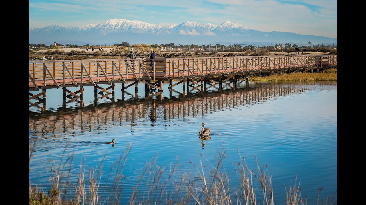 Bolsa Chica Wetlands