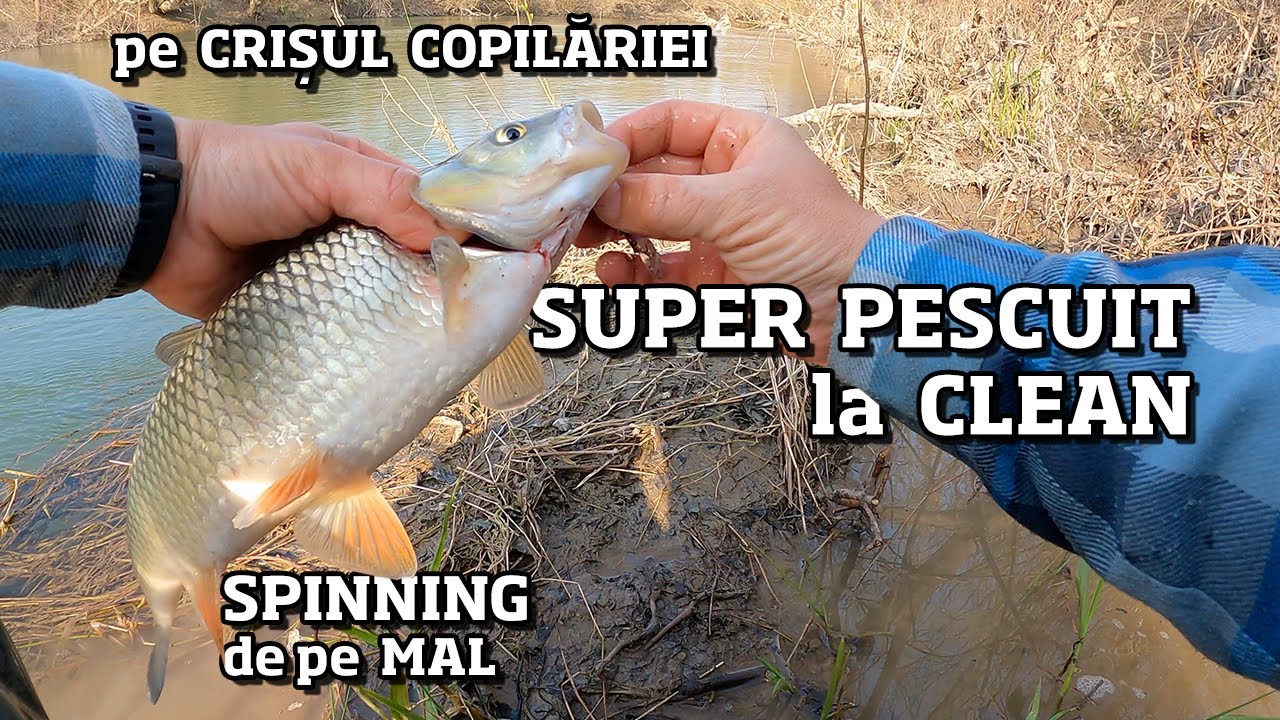 CEL MAI TARE PESCUIT la CLEAN pe CRISUL COPILARIEI, din ultimii 10 ani -  PESCUIT pe LOCURI Superbe