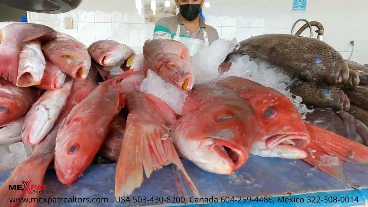 Mercado del Mar Seafood Market La Cruz de Huanacaxtle