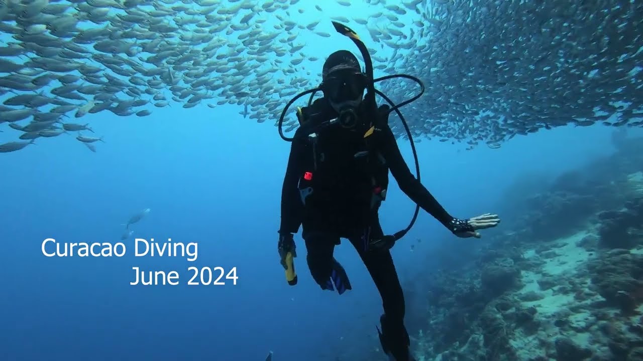 Scuba Diving on Curacao (June 2024)