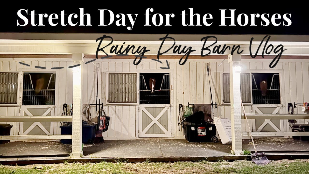 When it Rains it Pours... RAINY DAY BARN VLOG: Stretching & Massages for the Horses + Barn Chores
