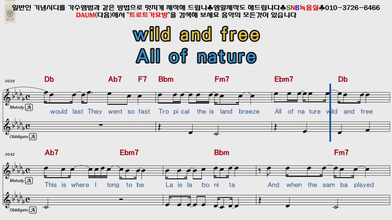 Madonna - la isla bonita [POP Song Score Karaoke]