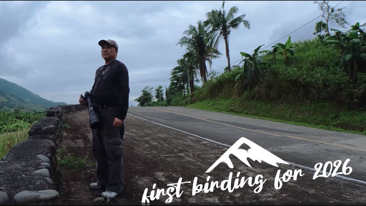 FIRST BIRDING 2026