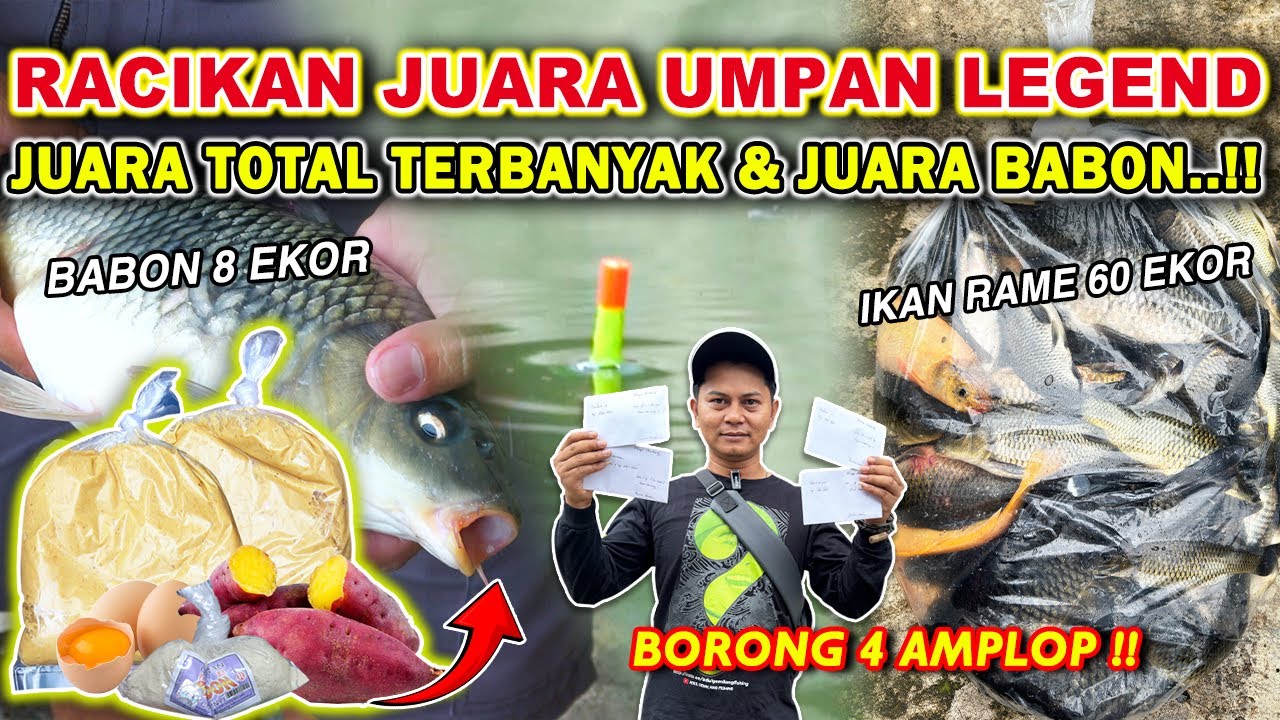 JUARA TOTAL IKAN TERBANYAK & JUARA BABON !! RACIKAN UMPAN IKAN MAS TERSADIS BIKIN KURAS EMPANG ❗❗