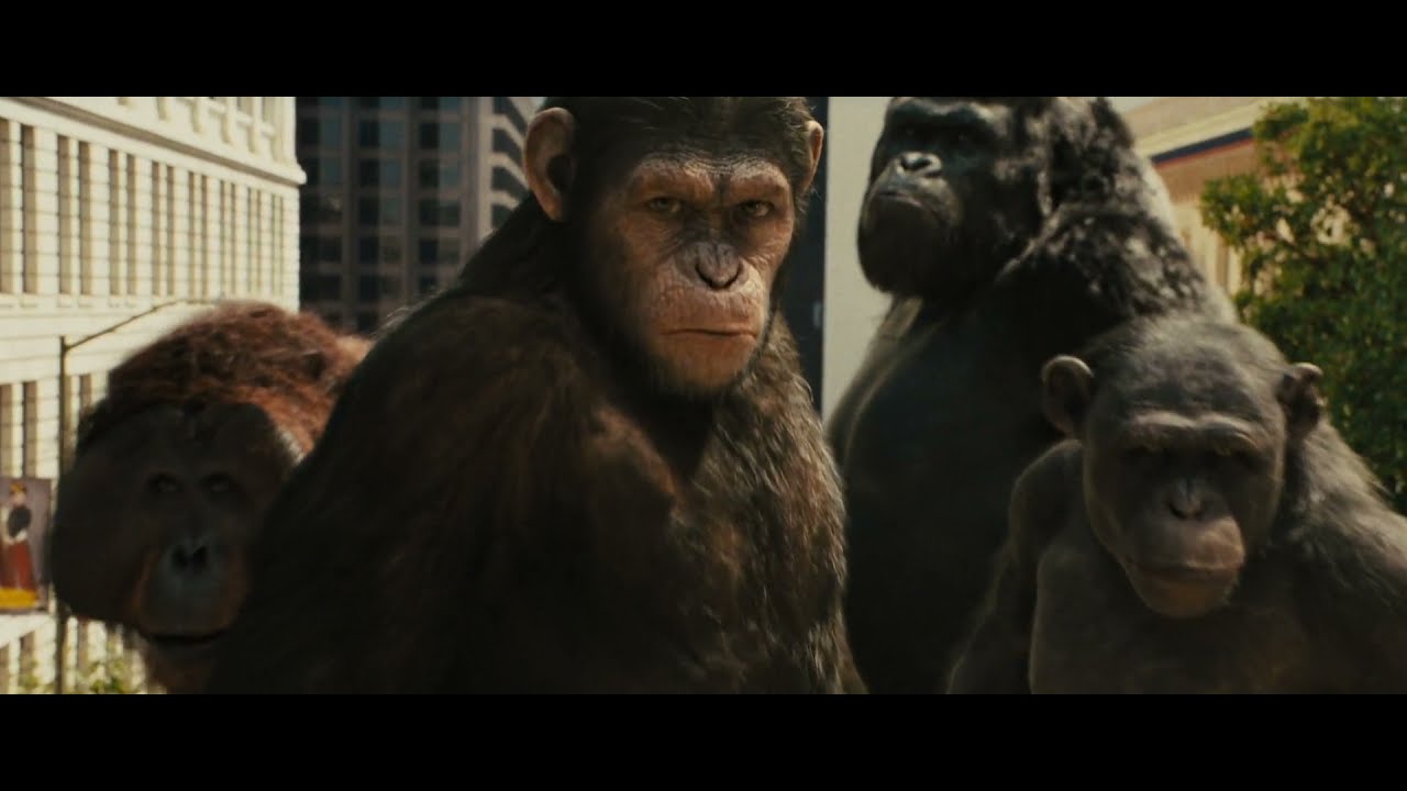 Planet of apes (Trilogy tribute) || Believer || Imagine dragons