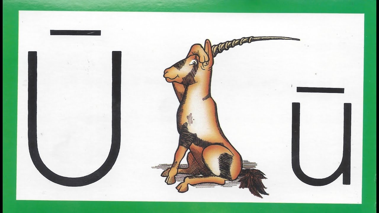 1010 01 Unicorn - Learn to Read with Ace and Christi (A.C.E. Accelerated Christian Education)
