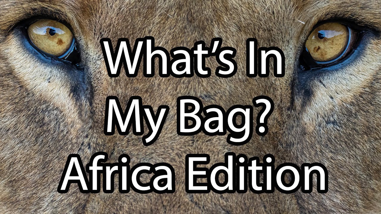 What's In My Bag? Africa Edition