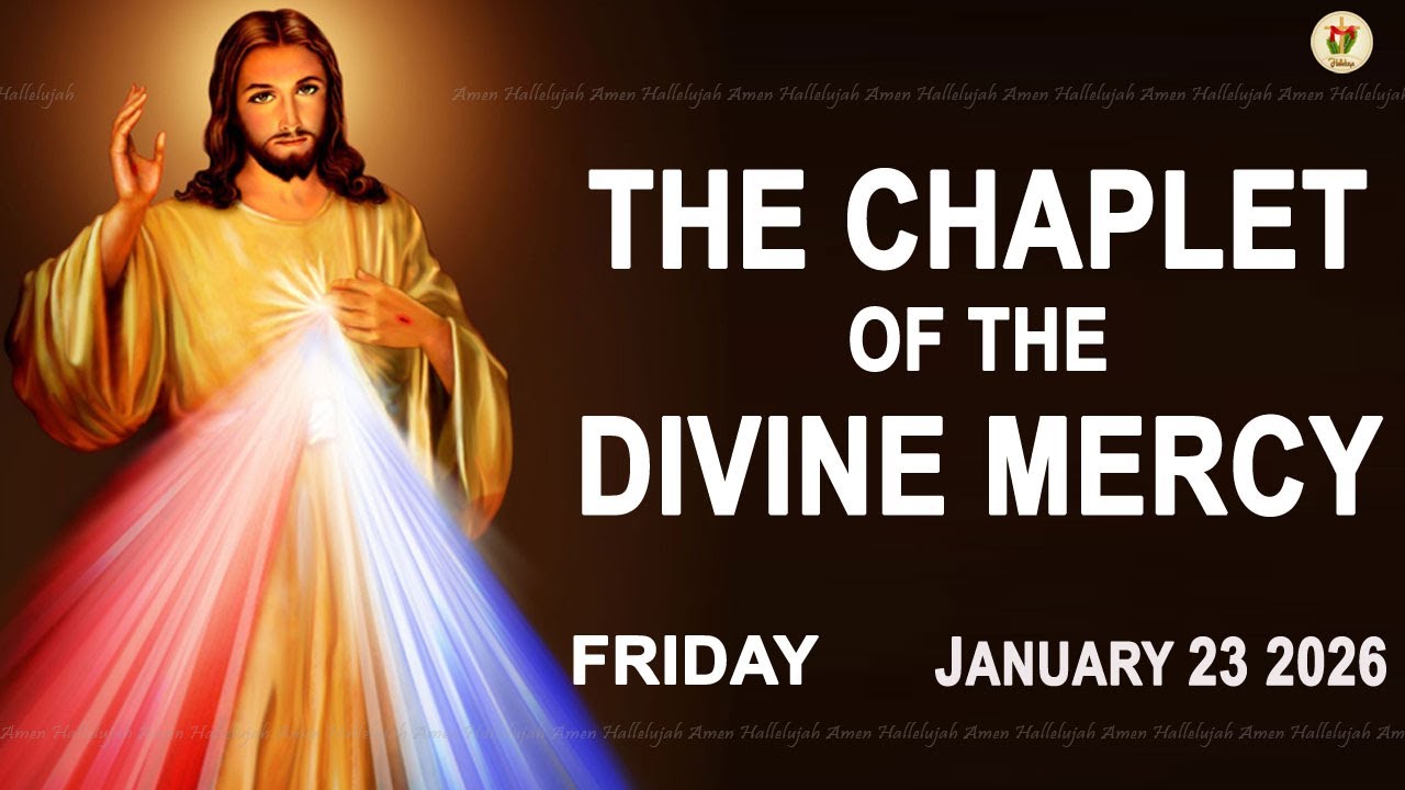 Chaplet Of The Divine Mercy I Friday January 23 2026 I Daily Divine Mercy Prayer