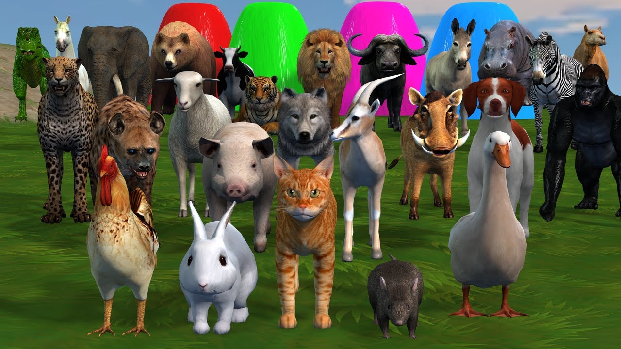 Long Slide Game with Cow Elephant Gorilla Hippopotamus Tiger 3d Animal Game Funny 3d Animals