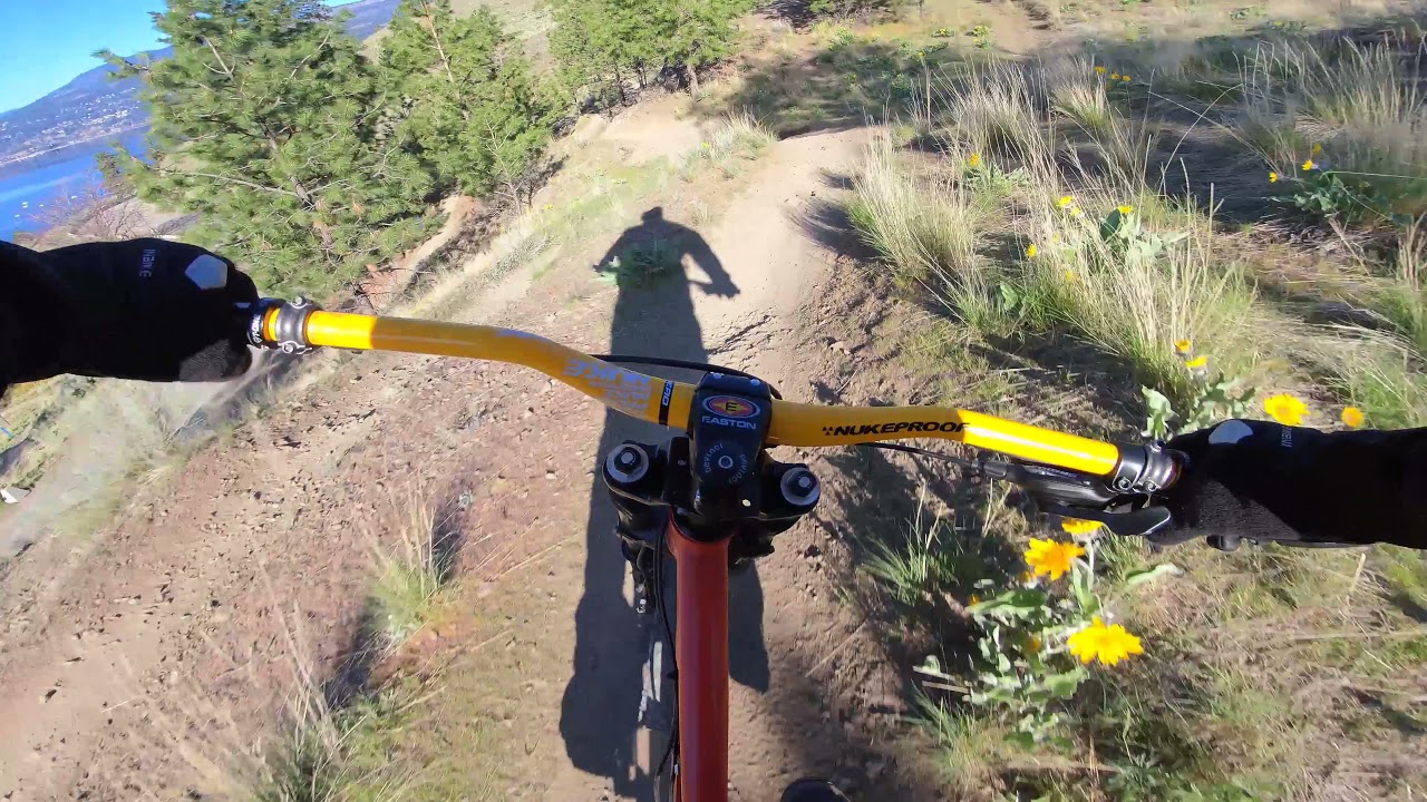 Insta360 One R 4K Mod Test on MTB