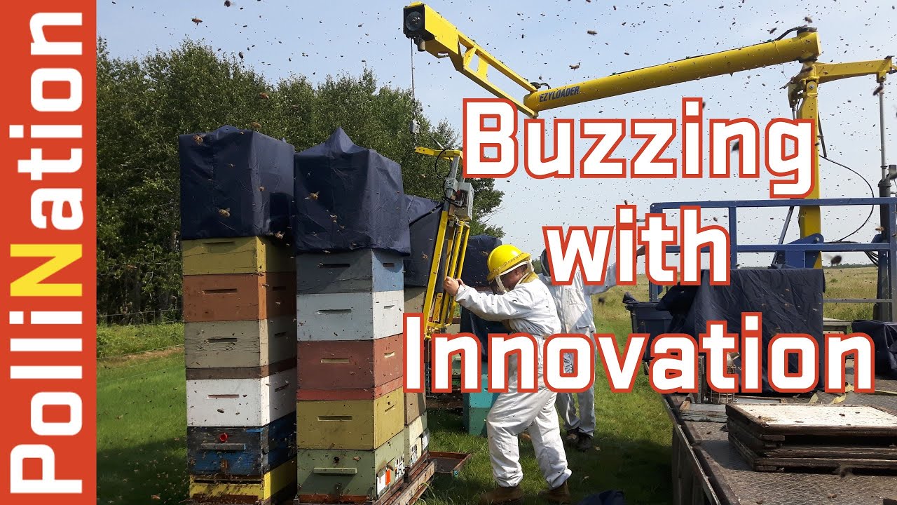 280 - Buzzing with Innovation | PolliNation