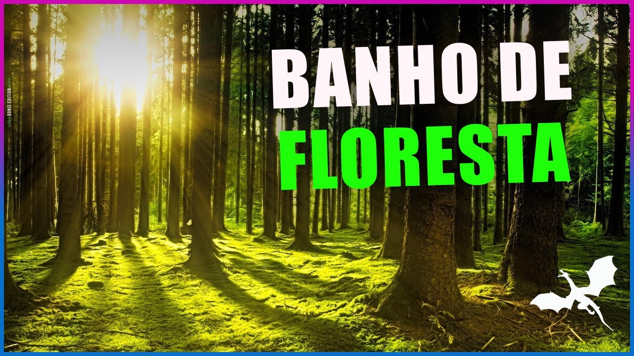 BANHO DE FLORESTA 2026