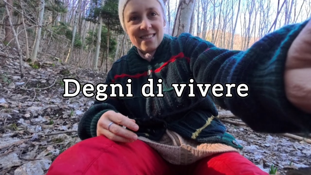 Pensieri sinceri dal bosco 🌱 | Non volevo più uscire di casa 