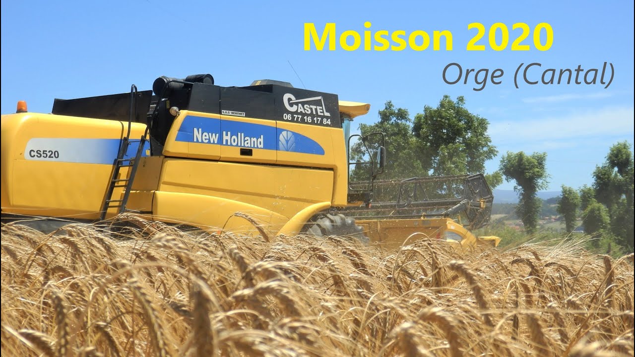 🌾Moisson d'orge 2020 - New Holland CS520 Everest ⛰💪