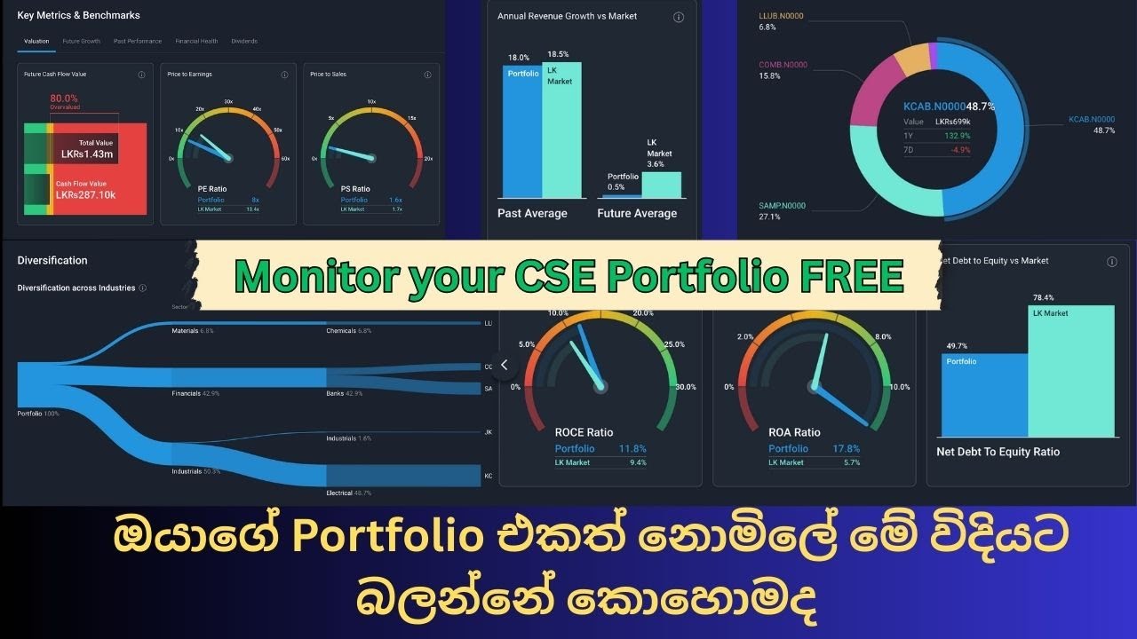 Monitor Your CSE Stock Portfolio FREE #cse #srilankastockmarket #colombostockexchange