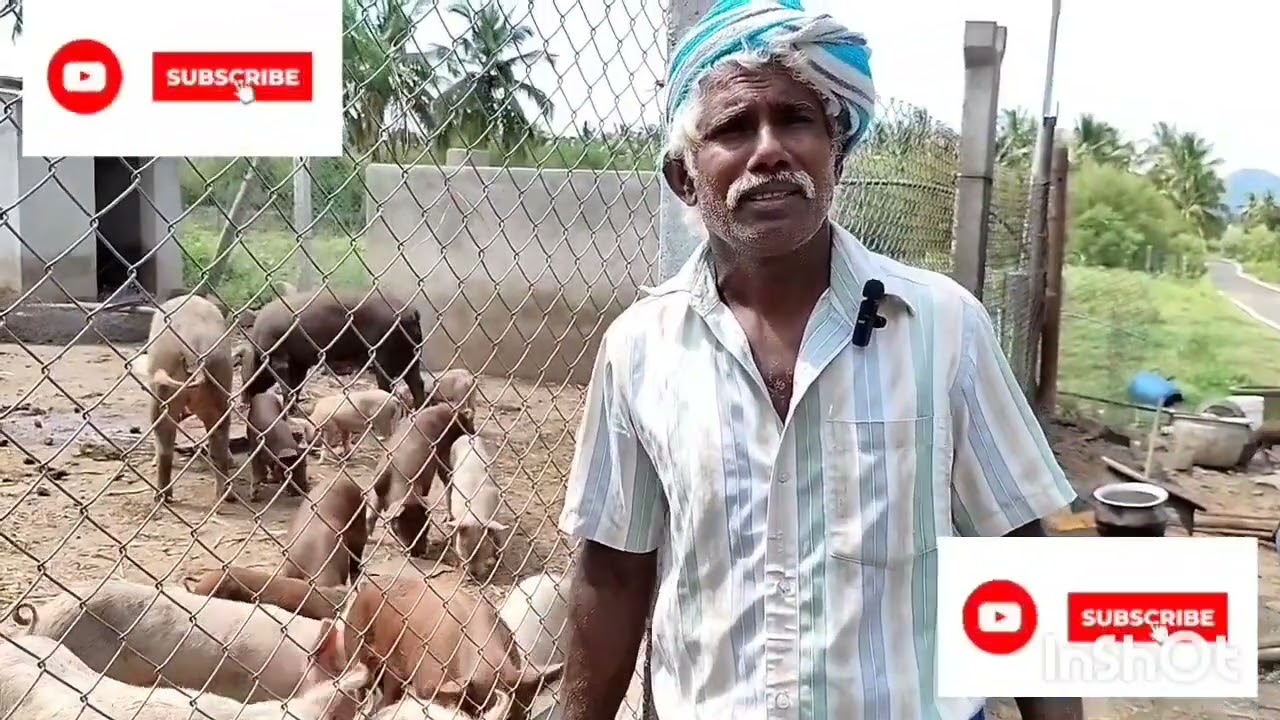 விவசாயத்தில் நஷ்டம் ஏற்பட்டபோது எனக்கு உதவியது இந்த தொழில் தான் விவசாயி கருத்து